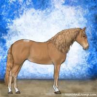 Horse Color:Chestnut Tobiano Rabicano 