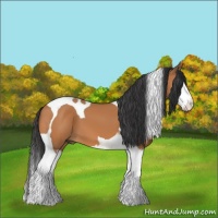 Horse Color:Bay Splash Tobiano 