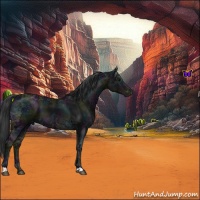 Horse Color:Midnight Black Ice Varnish 