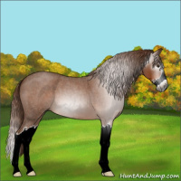 Horse Color:Gray Red Roan Splash 