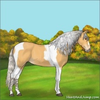 Horse Color:Silver Buckskin Tobiano 