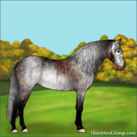 Horse Color:Gray Void Bay Roan Splash Appaloosa  and Gray Void Brown Tobiano Frame Appaloosa 