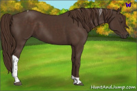 Horse Color:Liver Chestnut Tobiano Rabicano