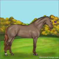 Horse Color:Liver Red Dun Rabicano
