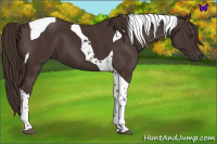 Horse Color:Liver Chestnut Tobiano