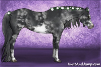 Horse Color:White Spotted Black Sabino Frame 