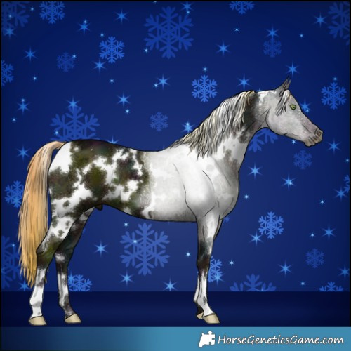 Horse Color:White Spotted Midnight Liver Chestnut Ice 