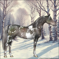 Horse Color:Platinum White Spotted Liver Chestnut Rabicano