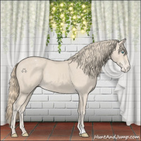 Horse Color:Smoky Creme Appaloosa 