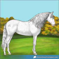 Horse Color:White Spotted Silver Amber Champagne Sabino 