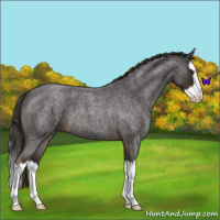 Horse Color:Liver Red Roan Splash 