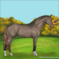 Horse Color:Liver Red Dun Varnish 