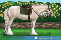 Horse Color:Chocolate Palomino Pearl Mushroom Tobiano 
