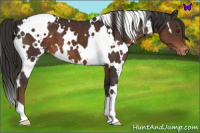 Horse Color:White Spotted Liver Chestnut Blanket 