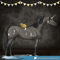 Horse Color:White Spotted Grullo