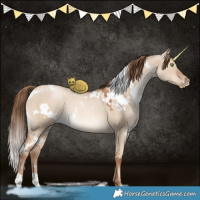 Horse Color:White Spotted Liver Red Dun Pearl