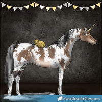 Horse Color:White Spotted Brown Dun Tobiano