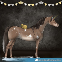 Horse Color:White Spotted Liver Red Dun 