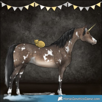 Horse Color:White Spotted Brown Dun
