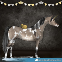 Horse Color:White Spotted Brown Dun 