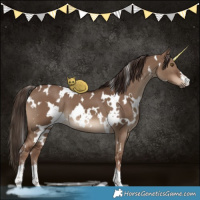 Horse Color:White Spotted Liver Red Dun 