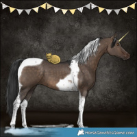 Horse Color:Brown Dun Tobiano 
