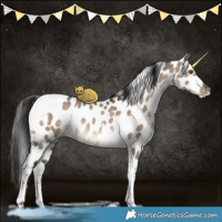 Horse Color:Brown Dun Tobiano Appaloosa 