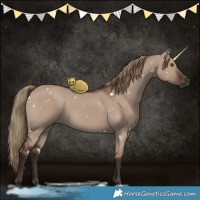 Horse Color:White Spotted Liver Red Dun