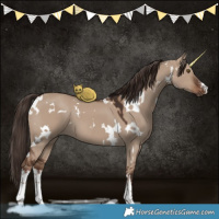 Horse Color:White Spotted Liver Red Dun