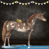 Horse Color:White Spotted Liver Red Dun