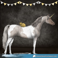 Horse Color:Silver Grullo Roan Tobiano