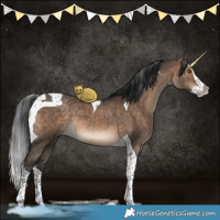 Horse Color:Brown Dun Splash Tobiano 