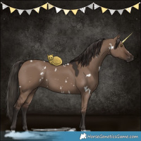 Horse Color:White Spotted Liver Red Dun 