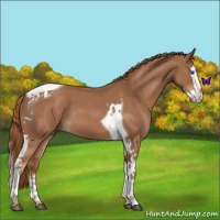 Horse Color:Red Roan Splash Tobiano 