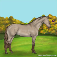 Horse Color:Liver Red Dun 