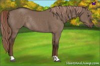 Horse Color:Liver Red Dun Rabicano 