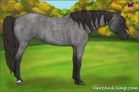 Horse Color:Liver Red Roan 