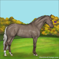 Horse Color:Liver Red Dun Mushroom Rabicano 