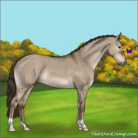 Horse Color:Liver Red Dun 