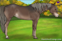 Horse Color:Liver Chestnut Mushroom Varnish 