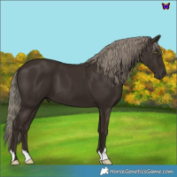 Horse Color:Liver Chestnut Mushroom 