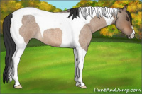 Horse Color:Brown Roan Dun Tobiano 