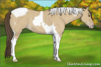 Horse Color:Classic Cream Champagne Dun Tobiano 