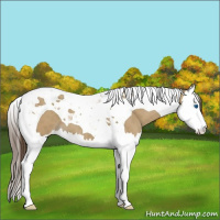 Horse Color:Classic Cream Champagne Splash Tobiano 
