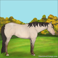 Horse Color:Sable Champagne Roan Dun