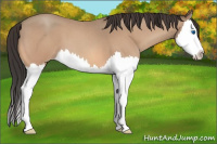 Horse Color:Sable Champagne Roan Splash 