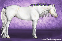 Horse Color:Gray Silver Amber Cream Champagne Roan Dun Splash Tobiano Frame Near Leopard Rabicano 