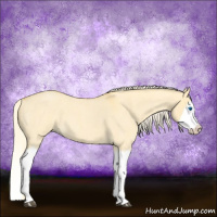 Horse Color:Palomino Roan Dun Splash 