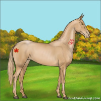 Horse Color:Chestnut Pearl 