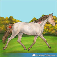 Horse Color:Bay Roan Pearl 